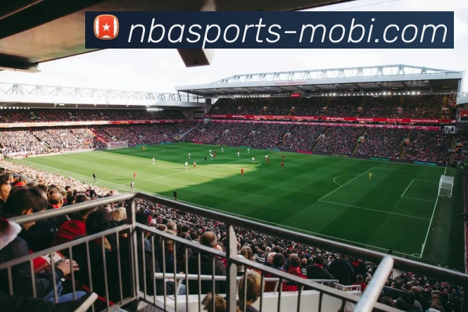 App Interface Preview